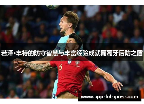 若泽·丰特的防守智慧与丰富经验成就葡萄牙后防之盾