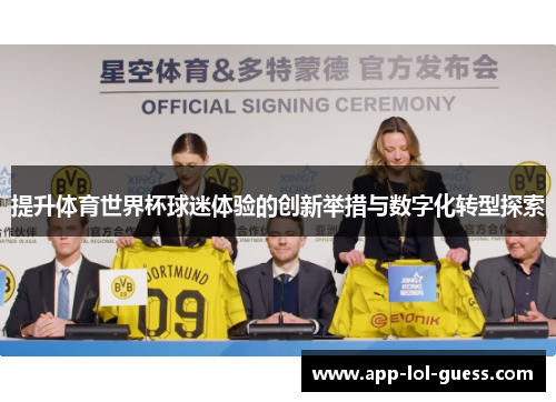 提升体育世界杯球迷体验的创新举措与数字化转型探索