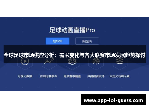 全球足球市场供应分析：需求变化与各大联赛市场发展趋势探讨