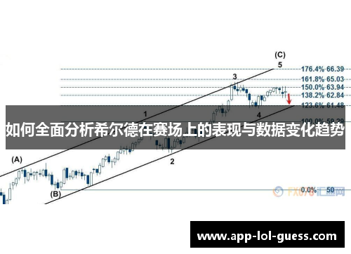 如何全面分析希尔德在赛场上的表现与数据变化趋势
